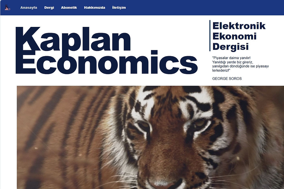 KaplanEconomicsCom.jpg