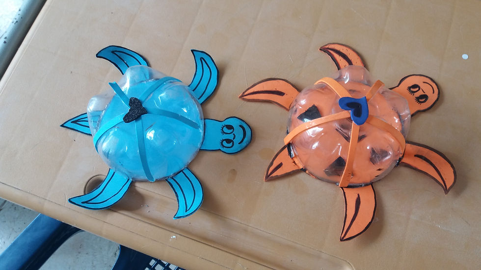 Tortugas