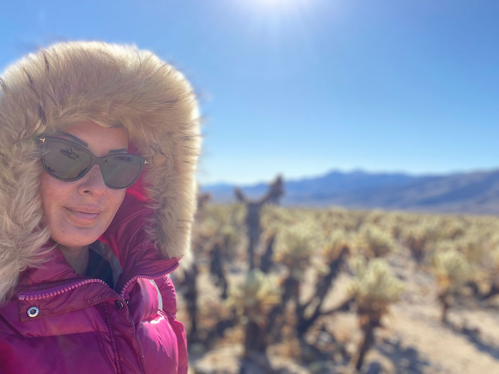 Joshua Tree National Park