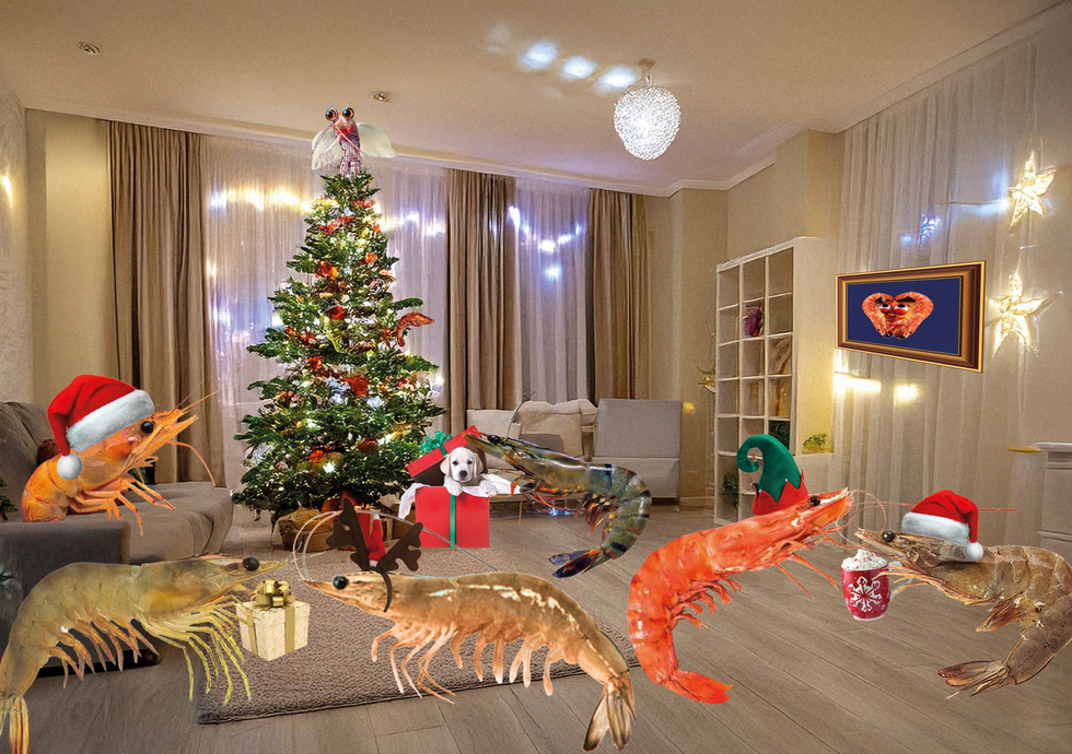 Shrimps on christmas