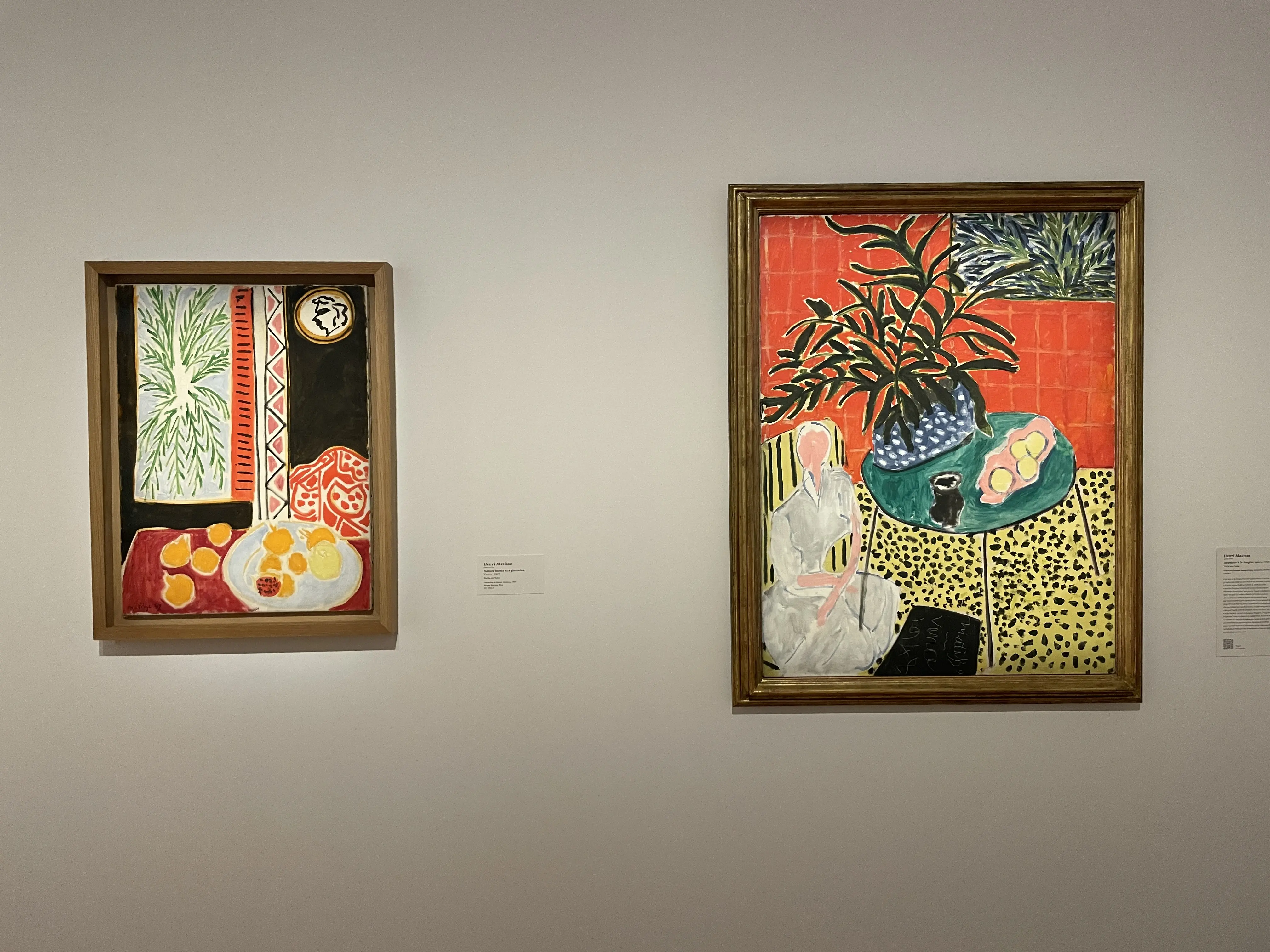 Matisse Marvels: Discover the Beauty and Brilliance of Matisse's Art with an Expertly Guided Tour of the Museum
