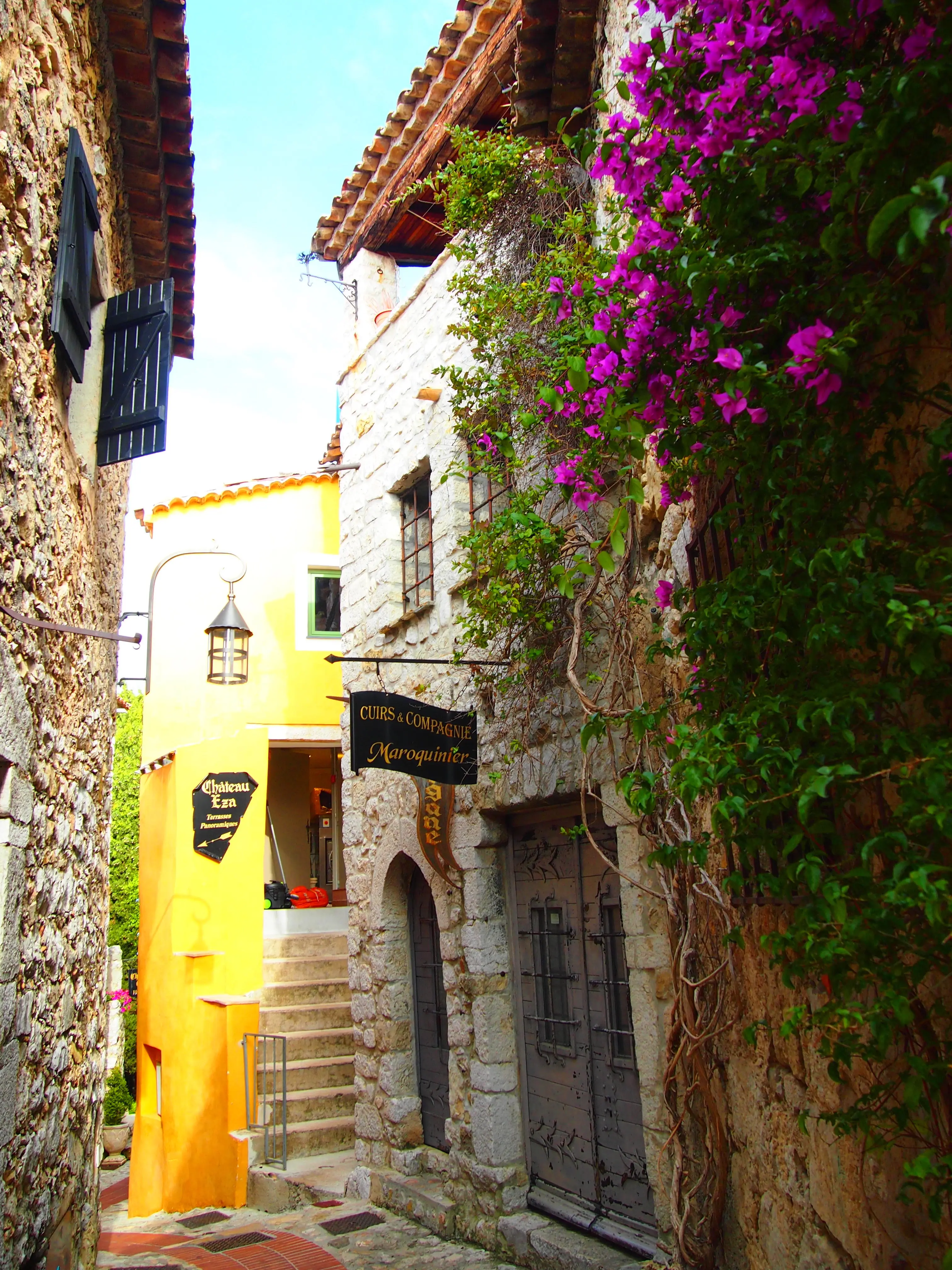 Eze Elevated: Ascend to New Heights with a Private Guided Tour Exploring the Spectacular Views and Hidden Gems