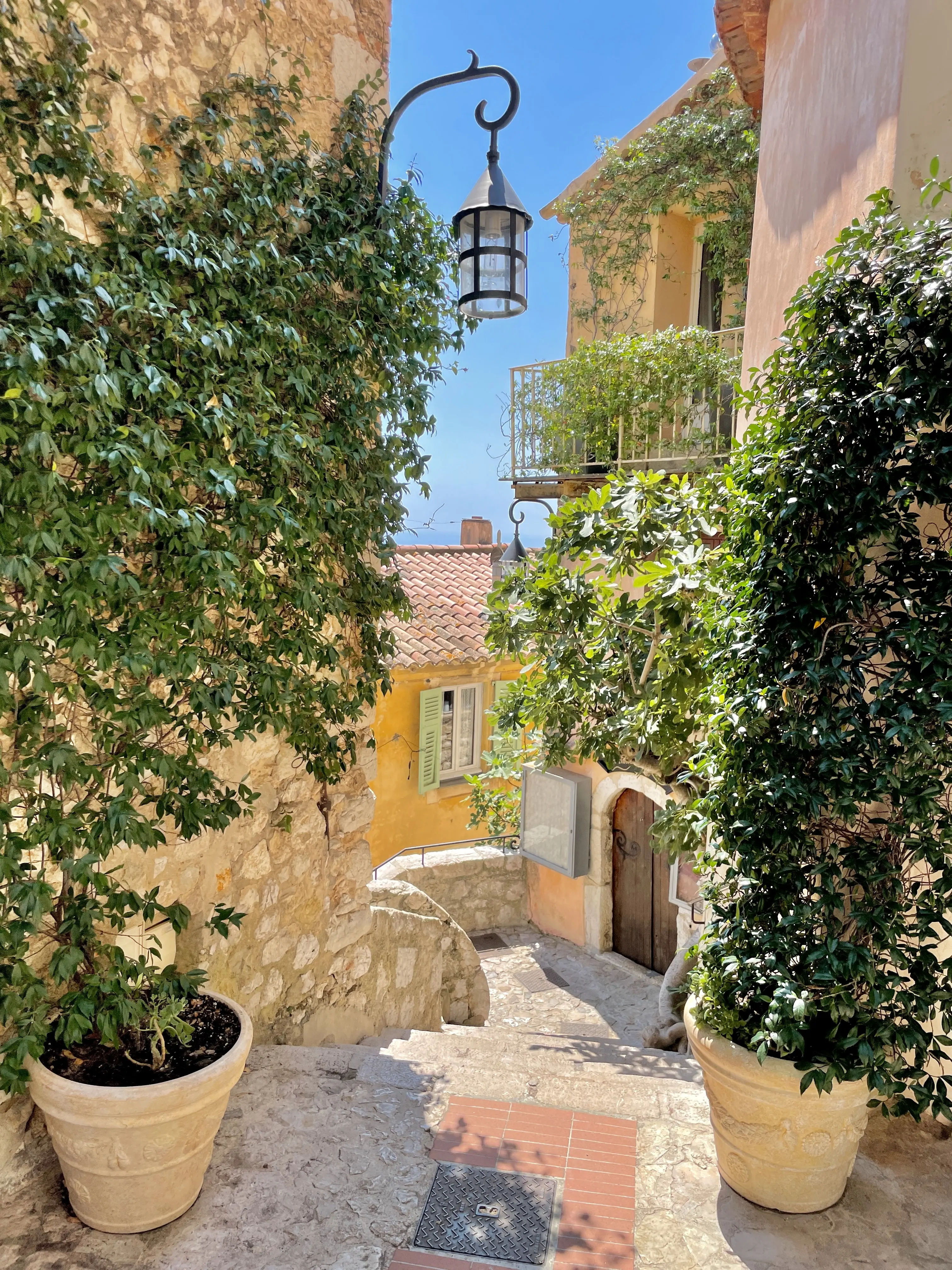 ailored Treasures: Discover Eze's Beauty with a Private Guided Tour Tailored to Your Preferences