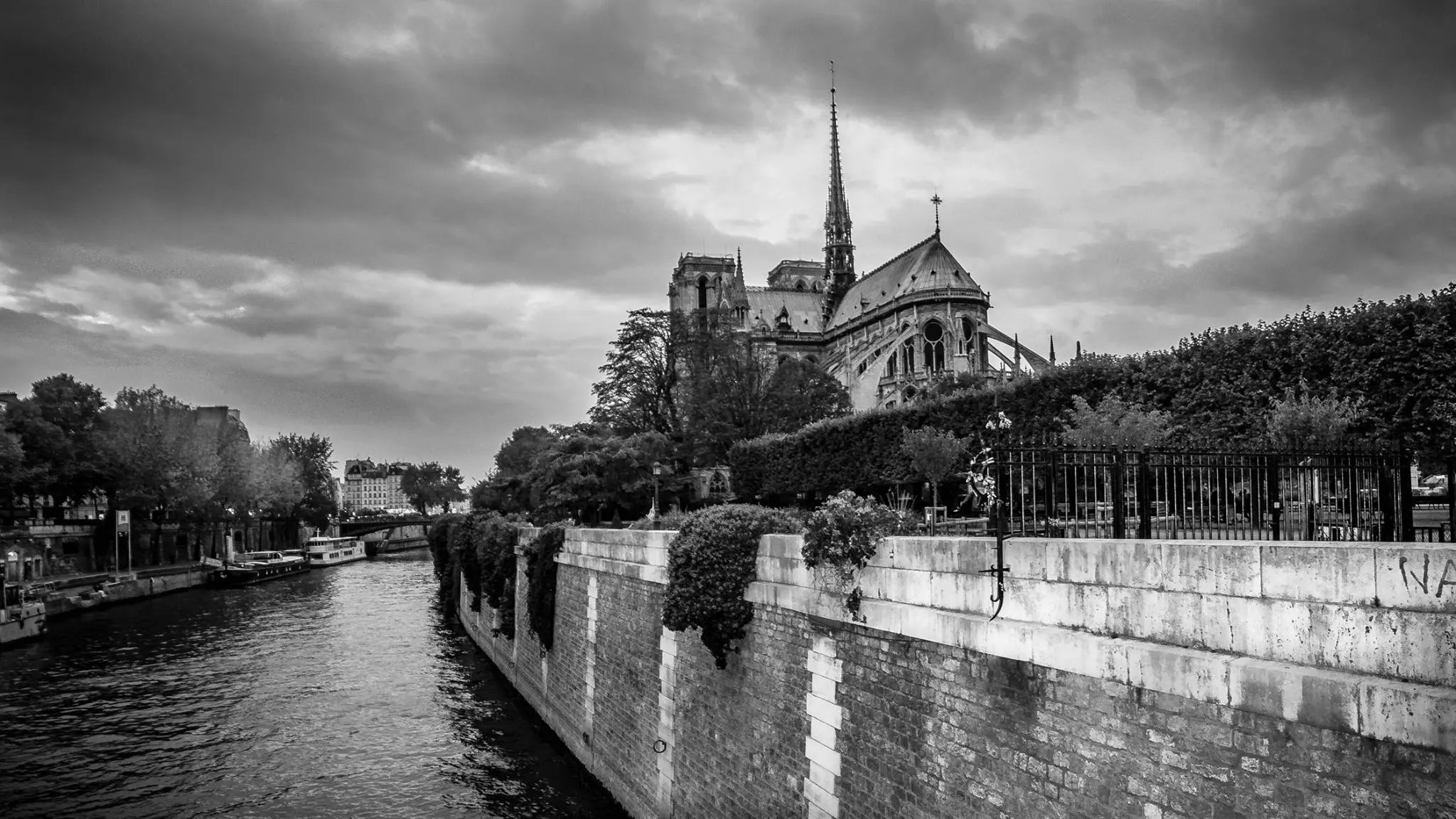 Notre Dame Revived: Discover the Majesty of Paris's Beloved Landmark on Our Private Tours