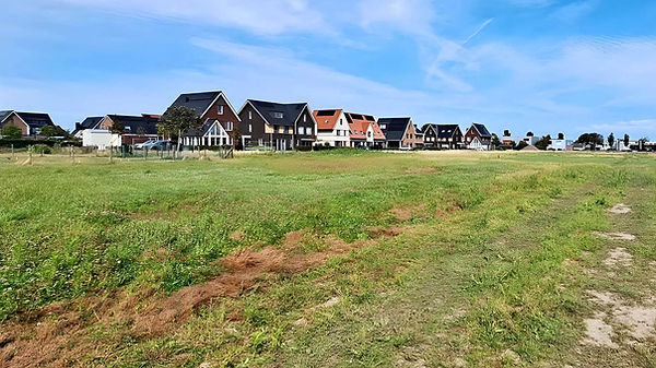 flora en fauna activiteit omgevingswet
