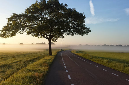 Inventarisatie en controle bomen