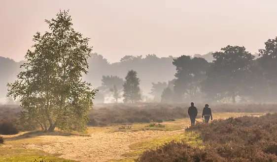 natuurbeheerplan opgesteld voor een natuurgebied voor effectief natuurbeheer