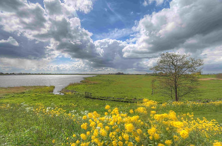 quickscan flora en fauna