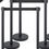 Thumbnail: Stanchion Rental