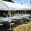 Thumbnail: 10x20 Party Canopy Rental (Tent Only)