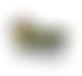 DraftKings Inc. (Full)