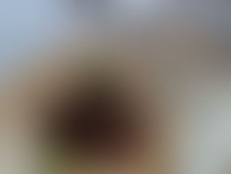 サブスクレシピ 2026.02