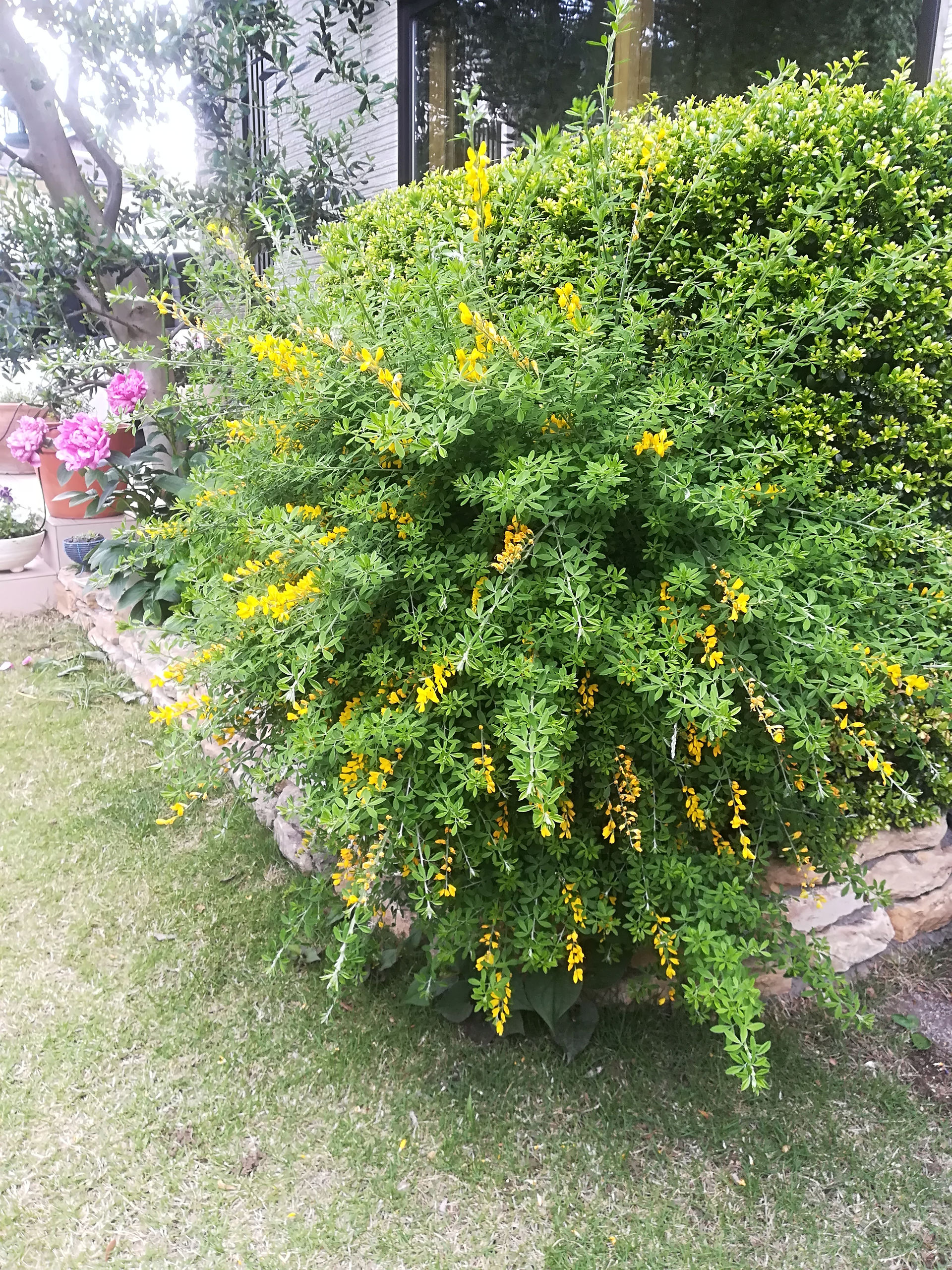 IMG_20190504_144140
