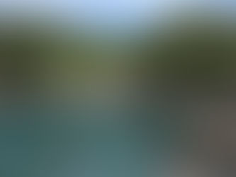 夏を求めて