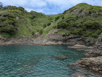 夏を求めて