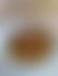 サブスクレシピ 2026.03 グリーンピースのフラン/ブイヤベース/イチゴパフェ