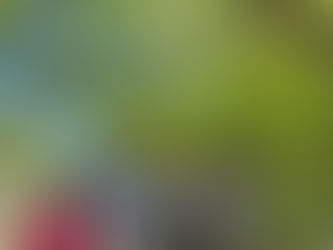 息抜き