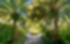 Home - 2.jpeg