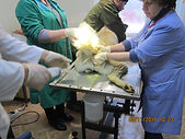IMG_3887.JPG
