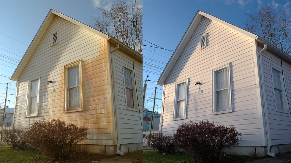 House Soft Washing