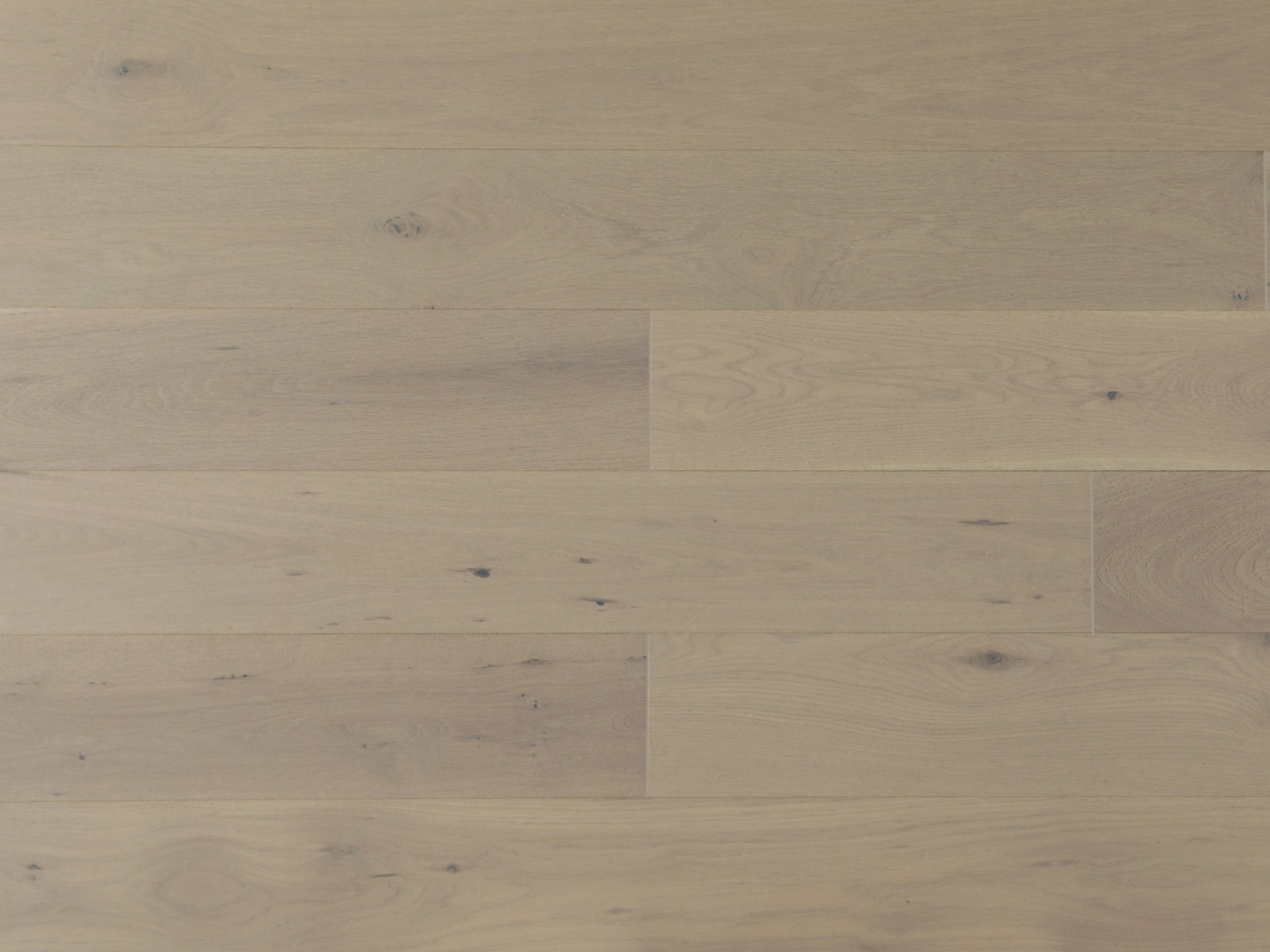 American Oak 7 Collection-Torino