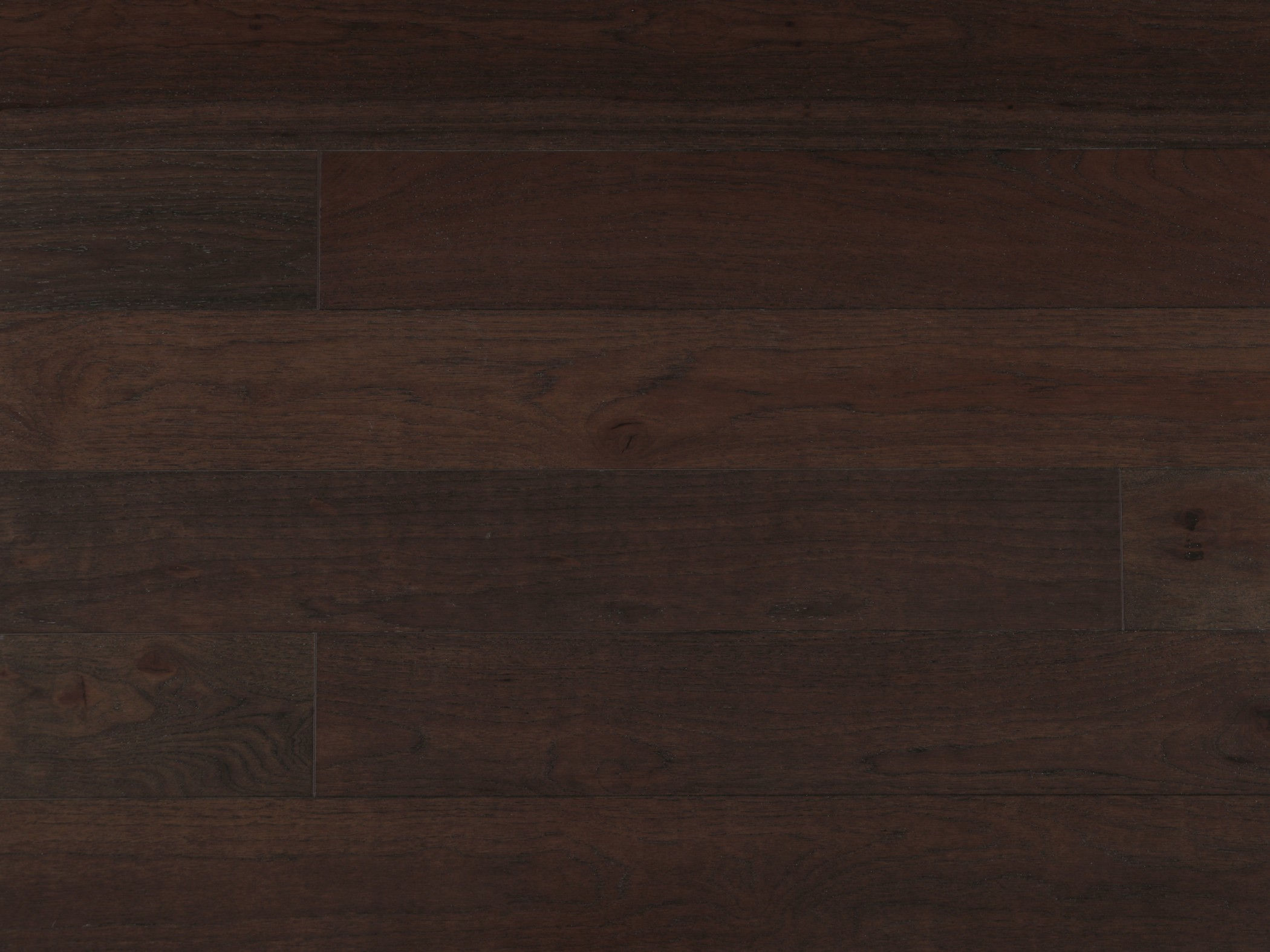 American Hickory 7 Collection-Bologna