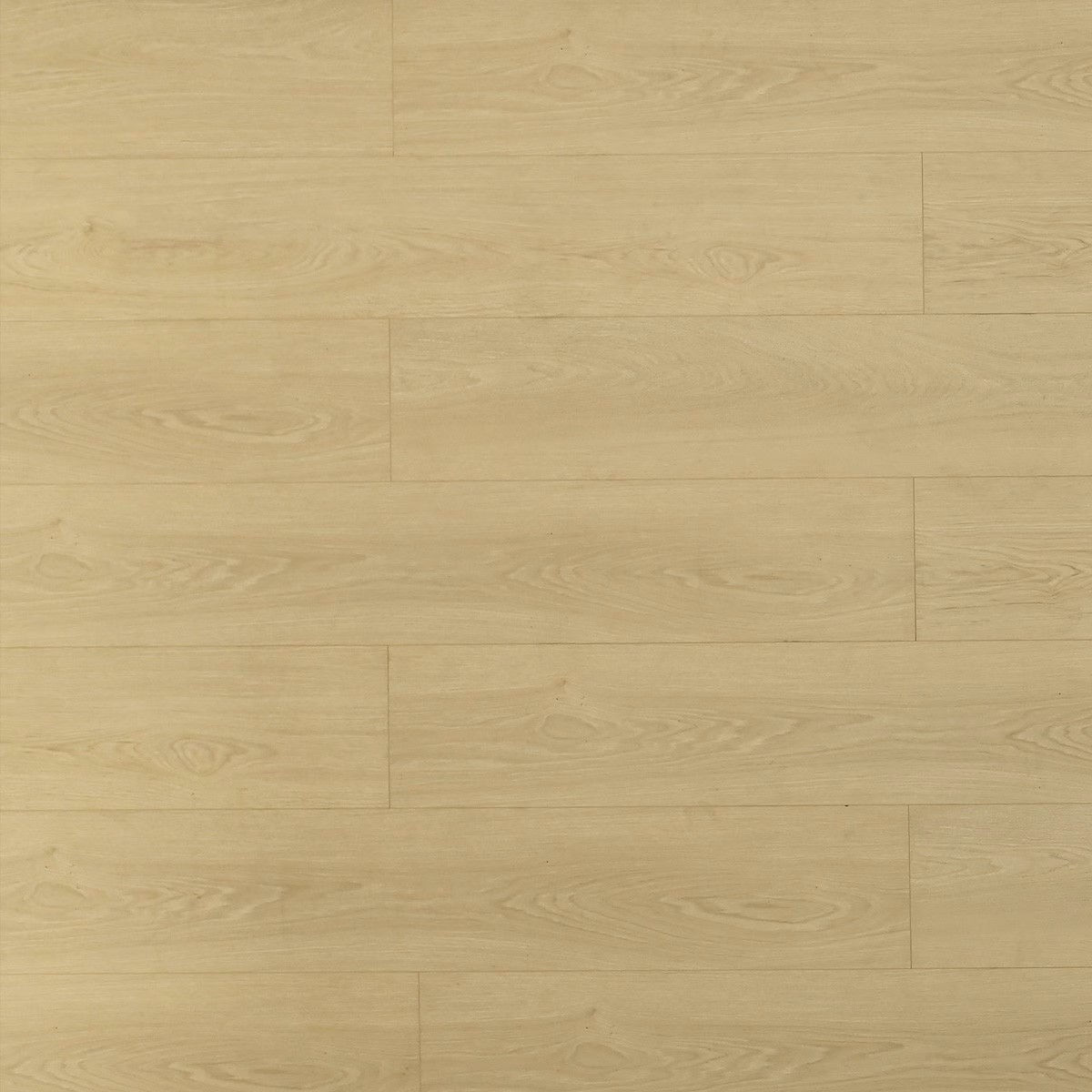 TF8103 Bandelier/ 8+2mm / water resistant Laminate