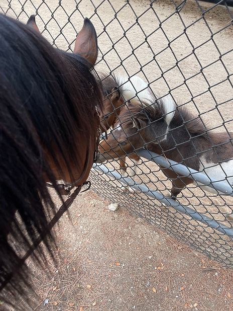 The are so cute.JPEG