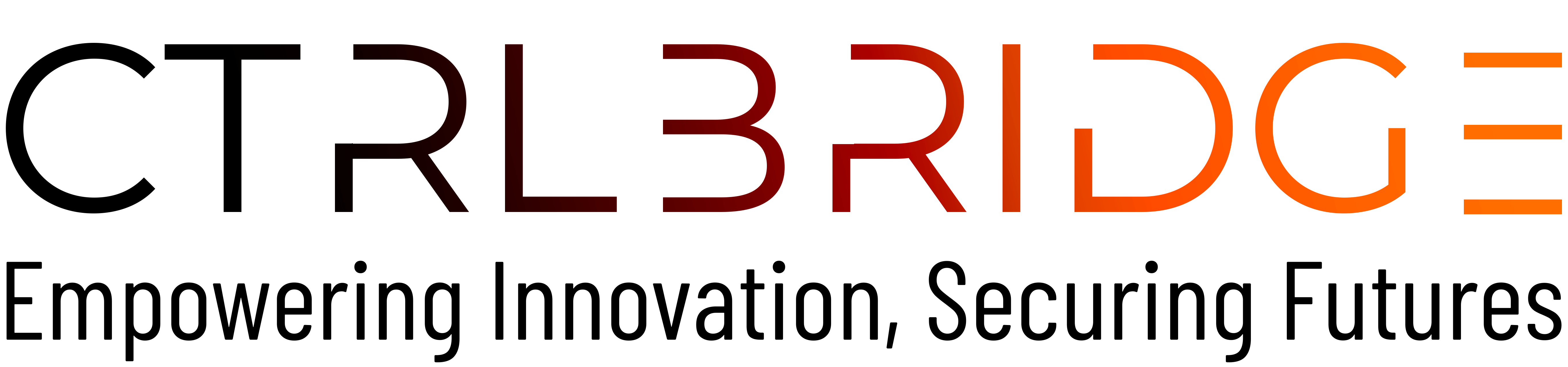 CTRLBRIDGE word type Logo
