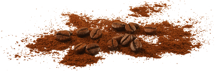 Untitled design (42)_edited.png