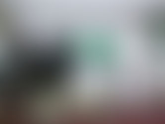 "سفيرة الأمم المتحدة للفنون تزور هدية الحاج والمعتمر"