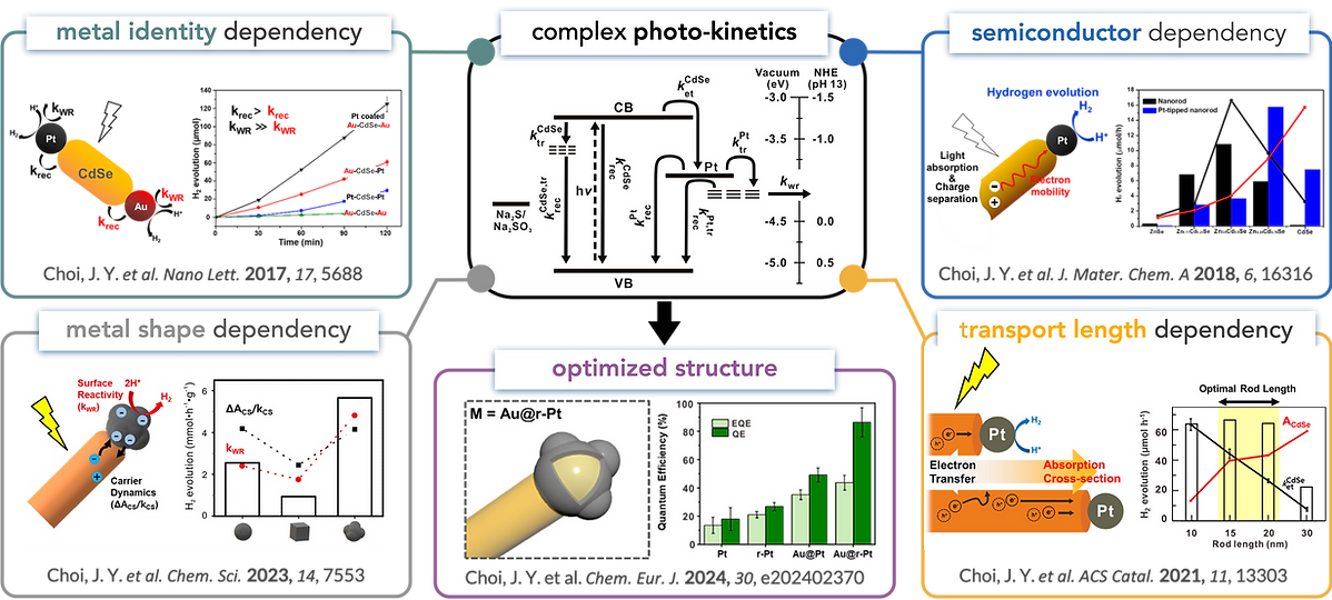 mechanism study.png