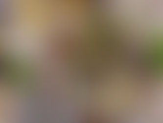 Alimentação vegetariana: cuidados a ter para uma alimentação completa e equilibrada