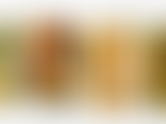 Alimentos e refeições. Qual a relação entre ambos