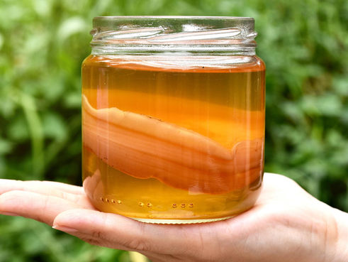 Kombucha, o que é e como fazer!