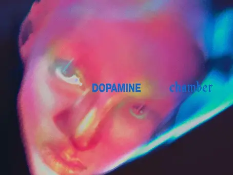 Dopamine Chamber album cover art - Fontaines D.C. (2026)