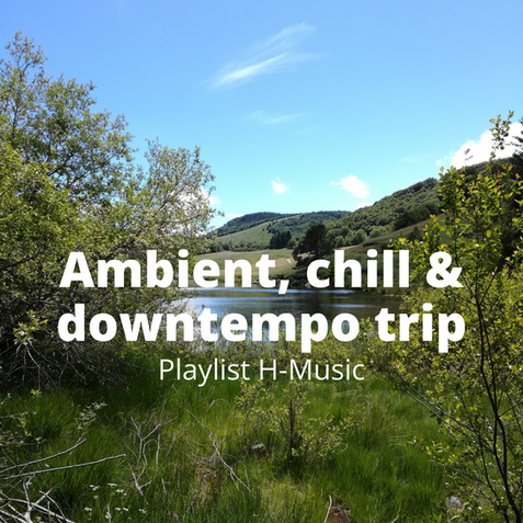 Ambient, chill & downtempo trip playlist