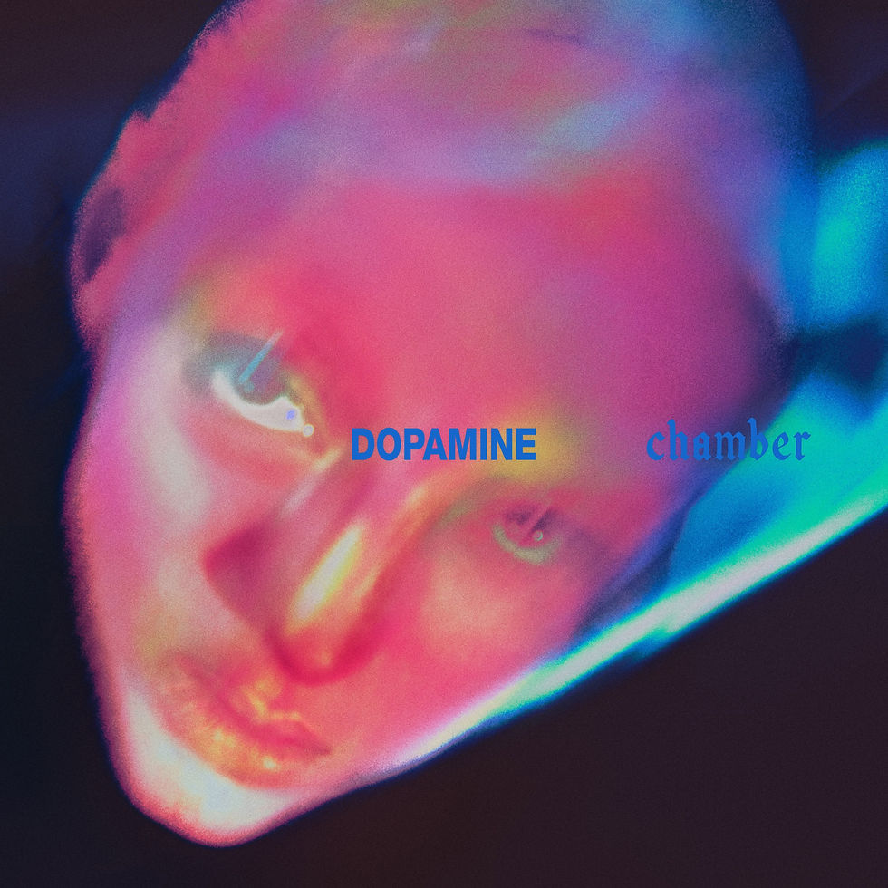 Dopamine Chamber album cover art - Fontaines D.C. (2026)