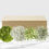 Thumbnail: 100-stem White and Green Fillers