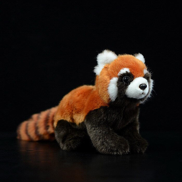Thumbnail: New 1PC 23cm Realistic Toy Red Panda Bear Cat Lifelike Soft Toys Plush Lesser P