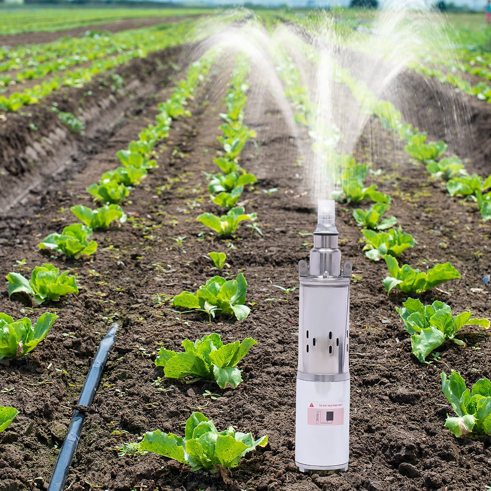 Thumbnail: 12V 24V 48V Solar Water Pump Deep Well Pump Submersible Pump Farm