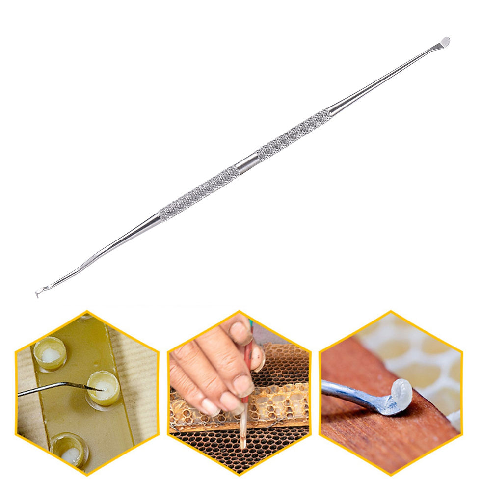 Thumbnail: Beekeeping Metal Bee Queen Larva Transferring Needle Dual Purpose Beekeeping