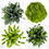 Thumbnail: 100-stem Assorted Green Fillers