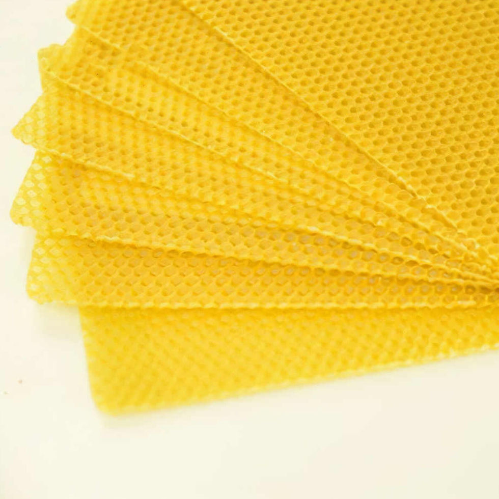 Thumbnail: 10Pcs Beeswax Foundation Press Mold Beekeeping Tools Honey Candles Maker