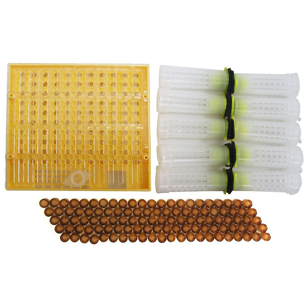 Thumbnail: Complete queen rearing system kit king cultivating box plastic bee bees cells