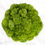 Thumbnail: 100-stem White and Green Fillers