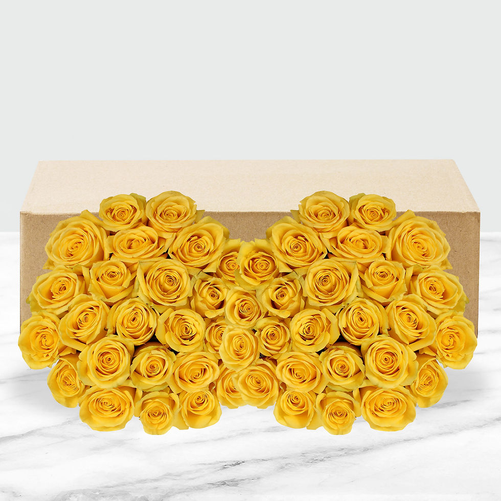 Thumbnail: 50-stem Yellow Roses