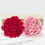 Thumbnail: 50-stem Hot Pink & Light Pink Roses