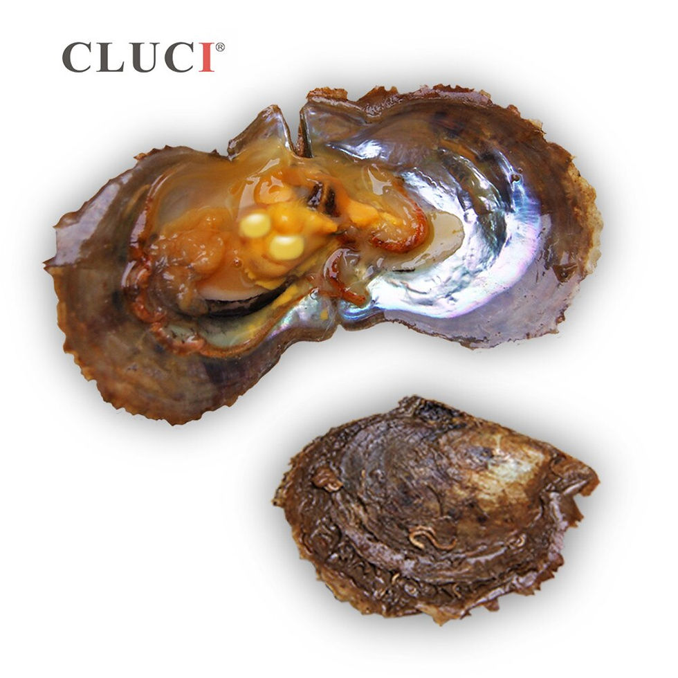 Miniaturbild: CLUCI 30pcs Twins Akoya Pearl Oysters 6-7mm  Quality Mixed 10 Colors Akoya Salt