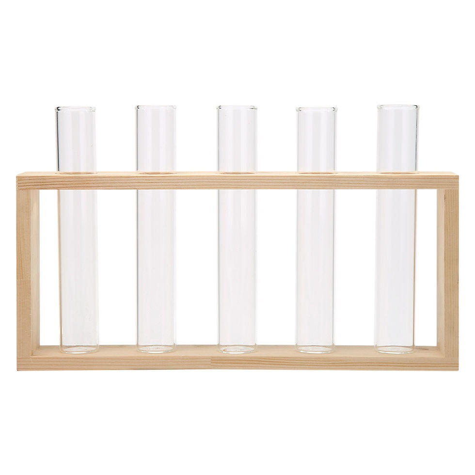 Thumbnail: Iron Wood Frame Transparent Glass Vase Bonsai Desktop Ornament Home Office Decor